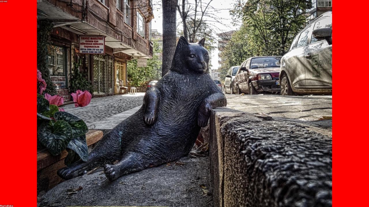 Sapiente debitis cupiditate soluta doloremque nemo nostrum